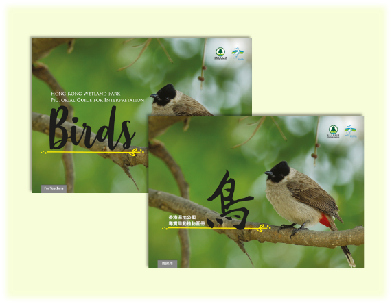 Pictorial Guide for Interpretation (Birds)