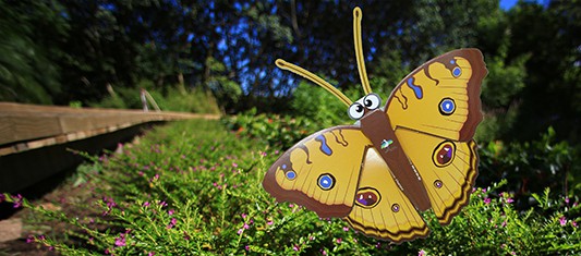 Peacock Pansy