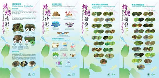 蜻蟌倩影 蜻蟌倩影