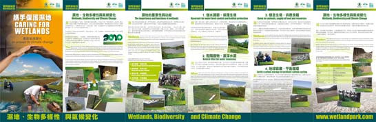 Caring for Wetlands - an Answer to Climate Change