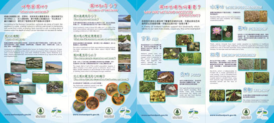 湿地与我们 湿地与我们