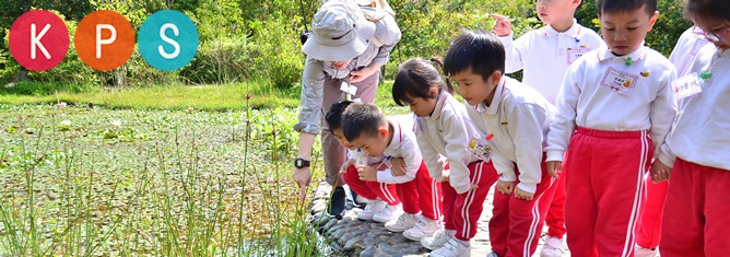 Park Experience Guided Tours