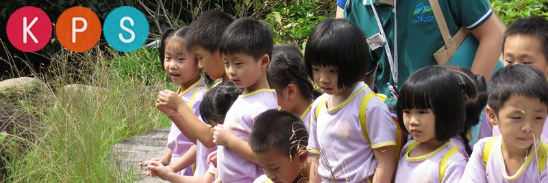 Learning at Wetlands