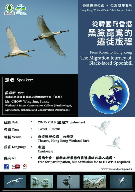香港濕地公園公眾講座系列 從韓國飛香港 – 黑臉琵鷺的遷徙旅程