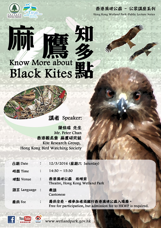 香港濕地公園公眾講座系列 麻鷹知多點