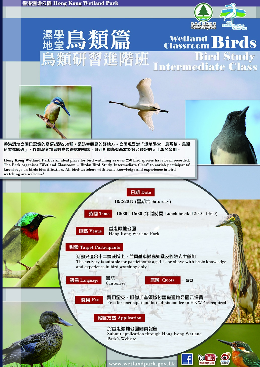 鳥類研習進階班