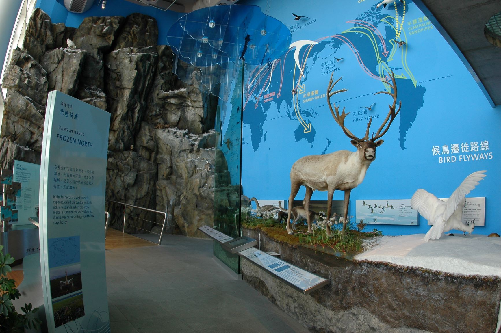Wetland Interactive World Public Guided Tour