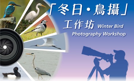 Winter Bird Photography Workshop