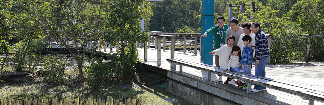 Wetland Adventure Guided Tour