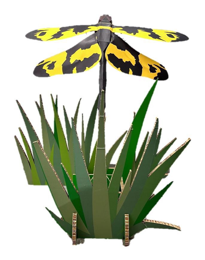 Wetland Geometric Cardboard Model - Variegated Flutterer