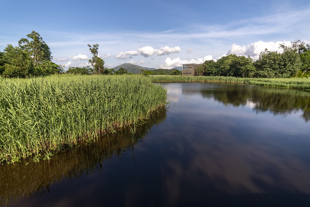 Fishpond Hide