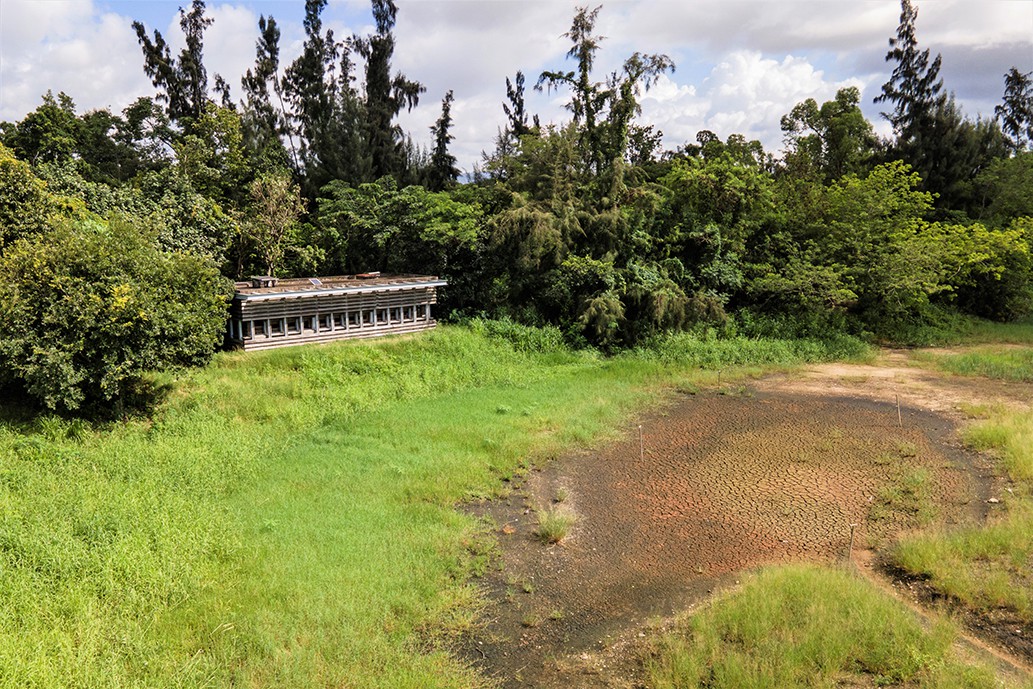 Mudflat Hide