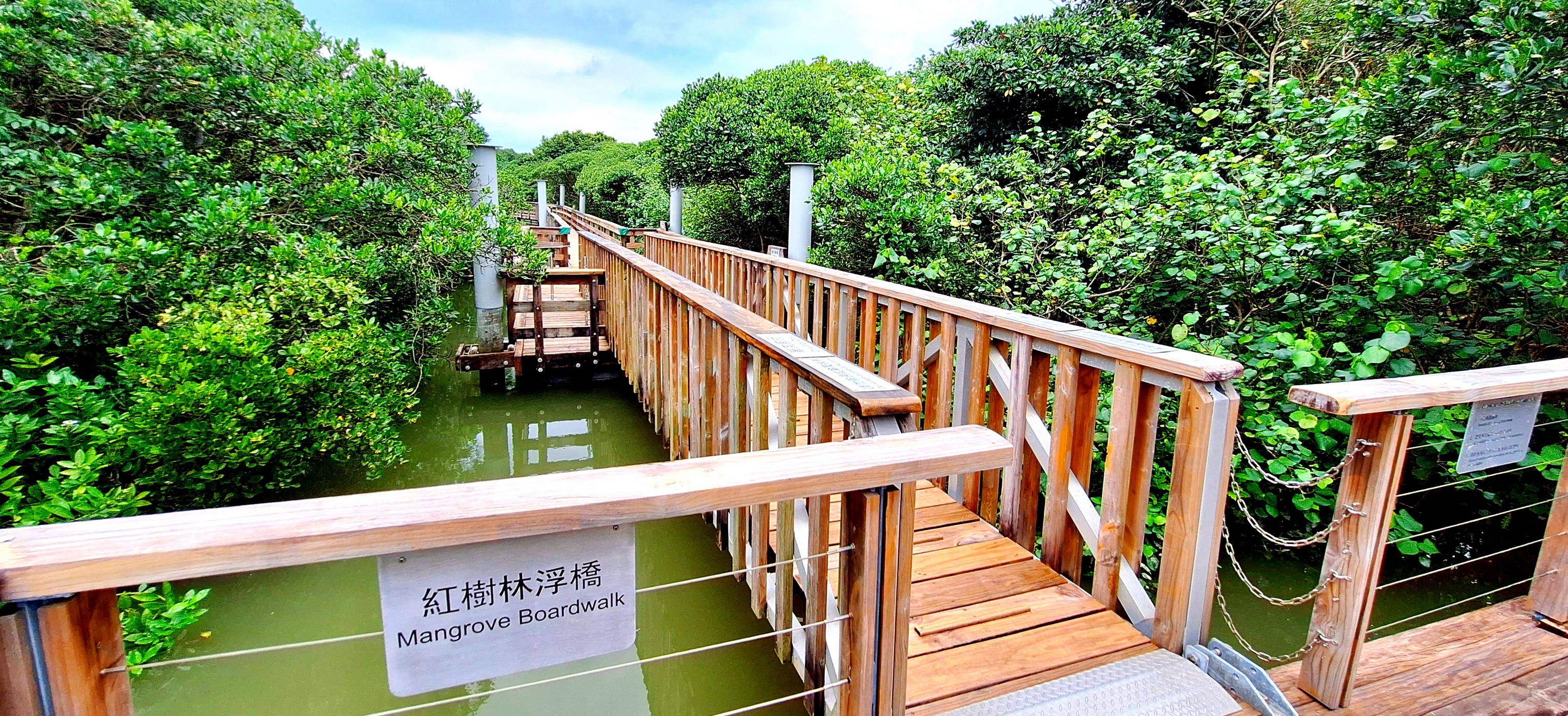 Mangrove Boardwalk