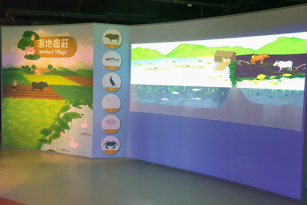 Wetland Village Interactive game