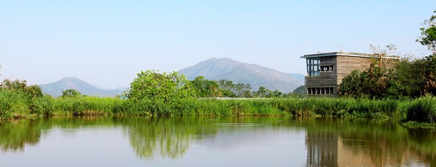 Bird Hides