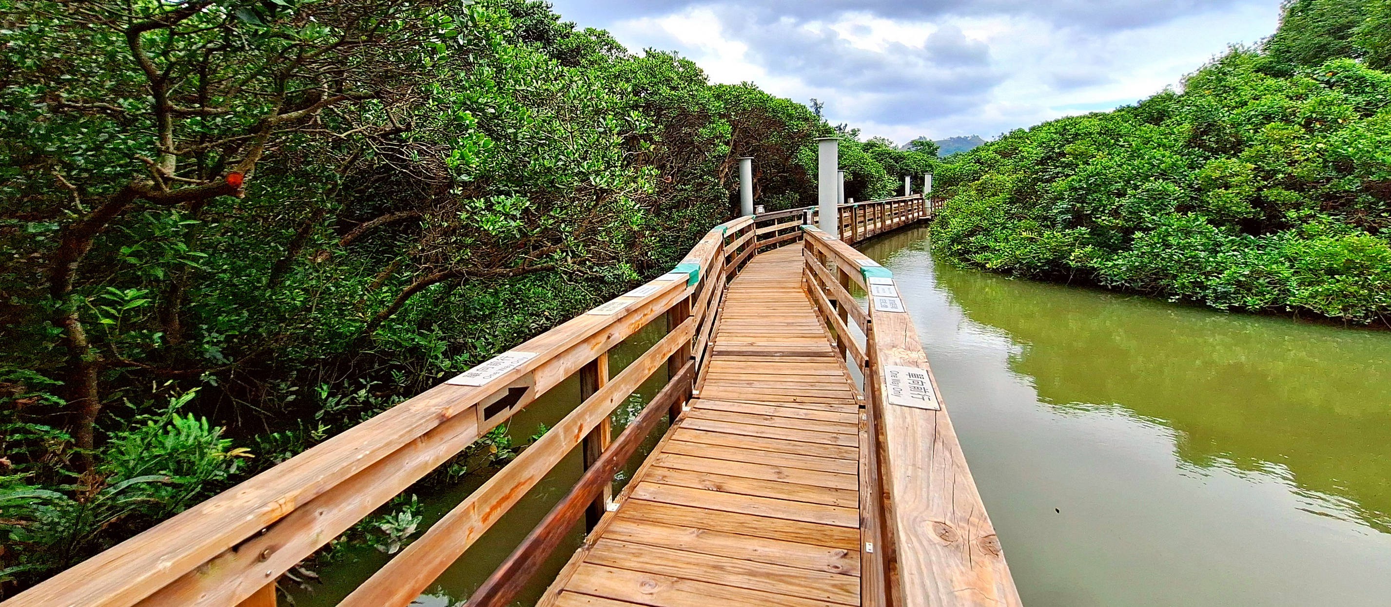 Mangrove Boardwalk