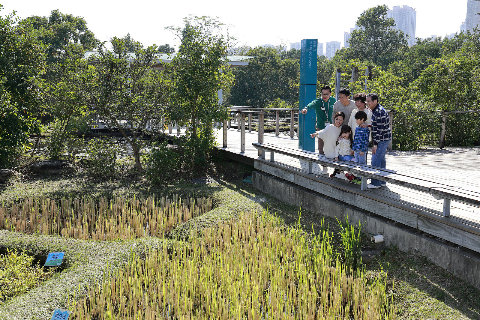 Wetlands at work