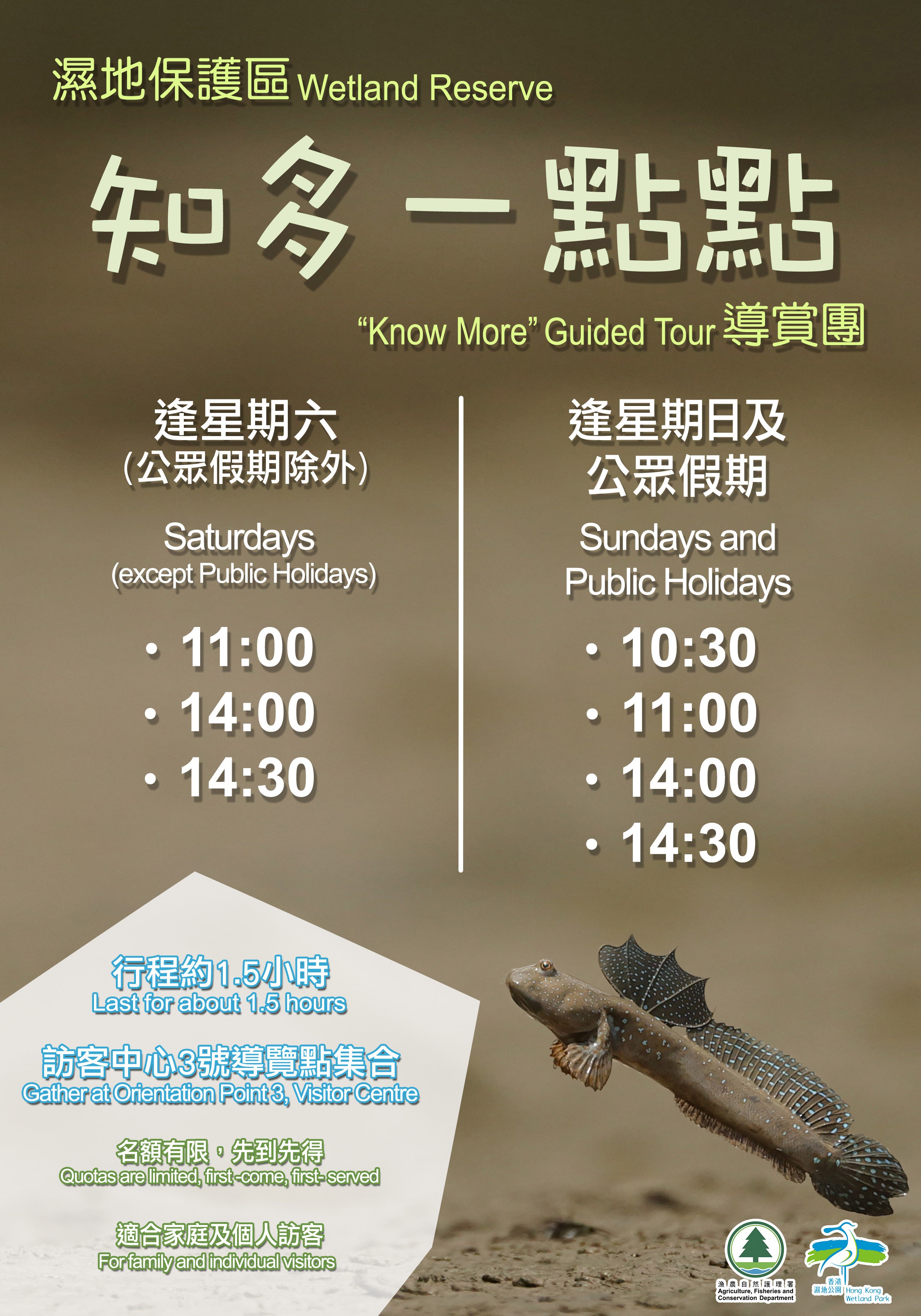 「知多一点点－湿地保护区」导赏团