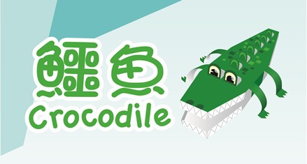 Crocodile