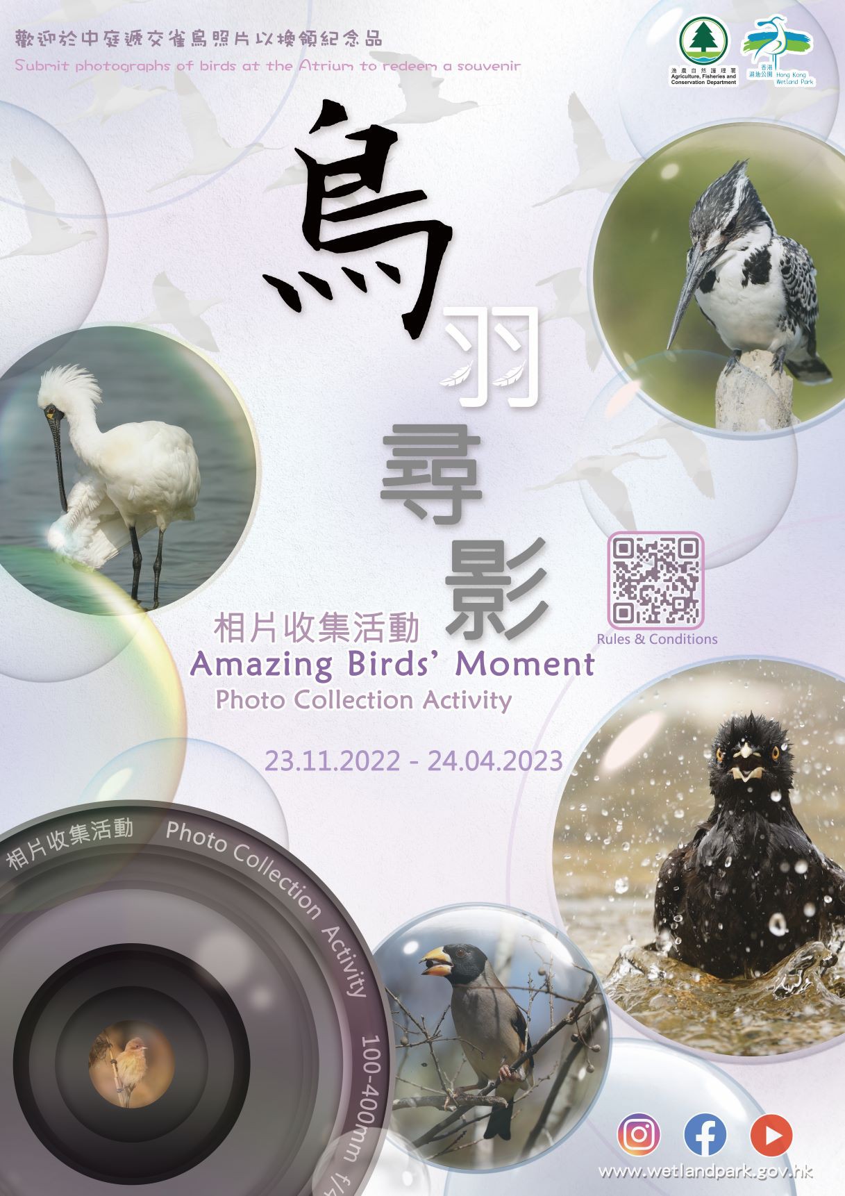 “Amazing Birds’ Moment” Photo Collection Activity