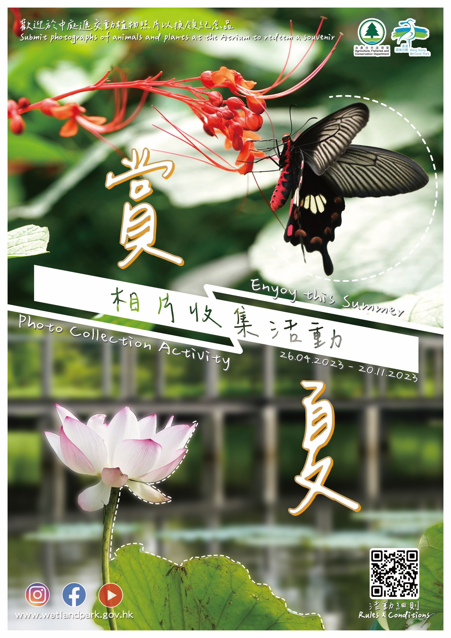 “Enjoy this Summer” Photo Collection Activity
